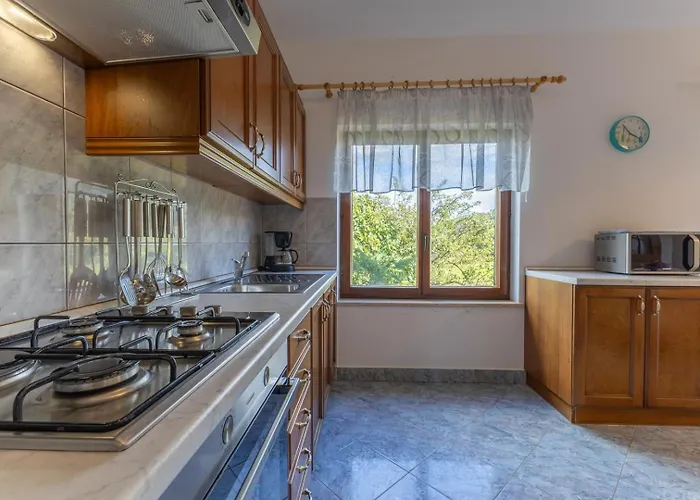 Daire Maria 1 With Shared Pool Buzet